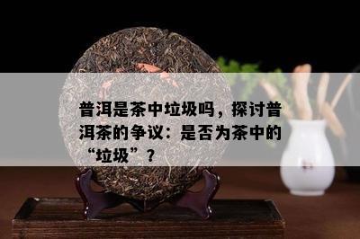 普洱是茶中垃圾吗，探讨普洱茶的争议：是否为茶中的“垃圾”？