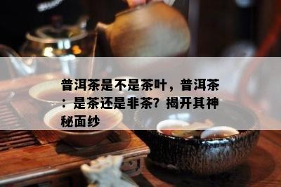 普洱茶是不是茶叶，普洱茶：是茶还是非茶？揭开其神秘面纱