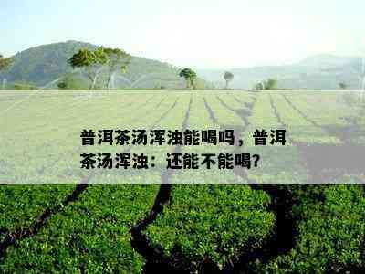 普洱茶汤浑浊能喝吗，普洱茶汤浑浊：还能不能喝？