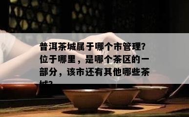 普洱茶城属于哪个市管理？位于哪里，是哪个茶区的一部分，该市还有其他哪些茶城？