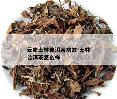 云南土林普洱茶功效-土林普洱茶怎么样