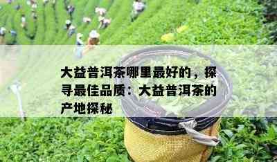 大益普洱茶哪里更好的，探寻更佳品质：大益普洱茶的产地探秘