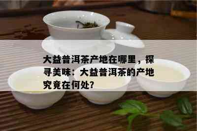 大益普洱茶产地在哪里，探寻美味：大益普洱茶的产地究竟在何处？