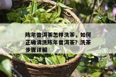 陈年普洱茶怎样洗茶，如何正确清洗陈年普洱茶？洗茶步骤详解