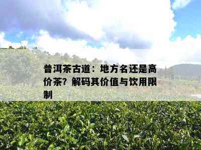 普洱茶古道：地方名还是高价茶？解码其价值与饮用限制