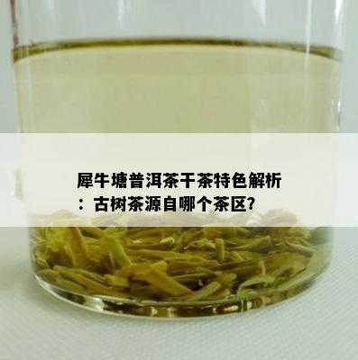 犀牛塘普洱茶干茶特色解析：古树茶源自哪个茶区？