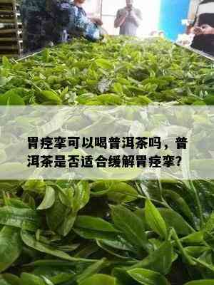 胃痉挛可以喝普洱茶吗，普洱茶是否适合缓解胃痉挛？