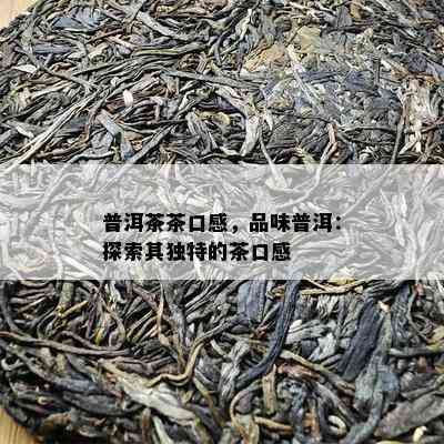 普洱茶茶口感，品味普洱：探索其独特的茶口感