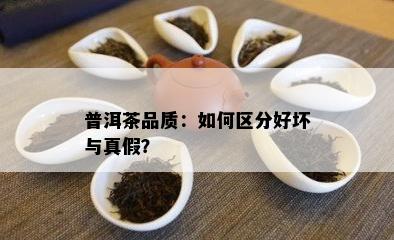 普洱茶品质：如何区分好坏与真假？