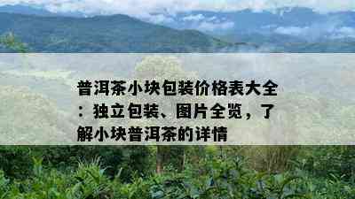 普洱茶小块包装价格表大全：独立包装、图片全览，了解小块普洱茶的详情