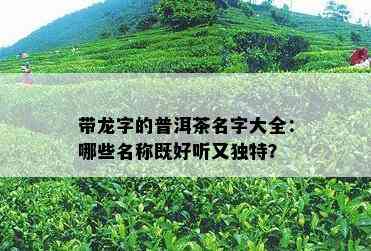 带龙字的普洱茶名字大全：哪些名称既好听又独特？