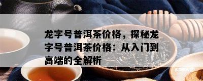 龙字号普洱茶价格，探秘龙字号普洱茶价格：从入门到高端的全解析