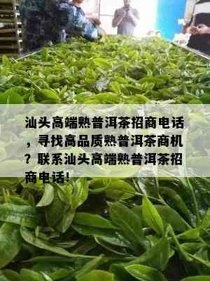 汕头高端熟普洱茶招商电话，寻找高品质熟普洱茶商机？联系汕头高端熟普洱茶招商电话！