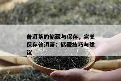 普洱茶的储藏与保存，完美保存普洱茶：储藏技巧与建议