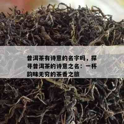 普洱茶有诗意的名字吗，探寻普洱茶的诗意之名：一杯韵味无穷的茶香之旅