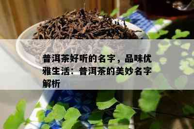 普洱茶好听的名字，品味优雅生活：普洱茶的美妙名字解析