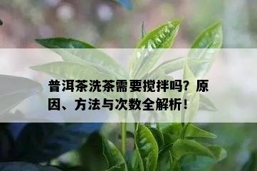 普洱茶洗茶需要搅拌吗？原因、方法与次数全解析！