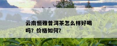 云南恒雅普洱茶怎么样好喝吗？价格如何？