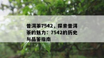 普洱茶7542，探索普洱茶的魅力：7542的历史与品鉴指南