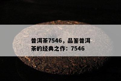 普洱茶7546，品鉴普洱茶的经典之作：7546