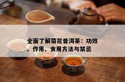 全面了解菊花普洱茶：功效、作用、食用方法与禁忌