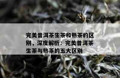 完美普洱茶生茶和熟茶的区别，深度解析：完美普洱茶生茶与熟茶的五大区别