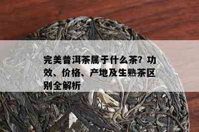 完美普洱茶属于什么茶？功效、价格、产地及生熟茶区别全解析