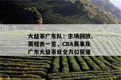 大益茶广东队：主场回放、赛程表一览，CBA赛事及广东大益茶业全方位报道