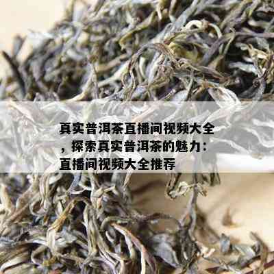 真实普洱茶直播间视频大全，探索真实普洱茶的魅力：直播间视频大全推荐