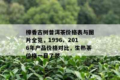 樟香古树普洱茶价格表与图片全览，1996、2016年产品价格对比，生熟茶价格一目了然