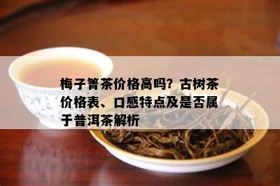 梅子箐茶价格高吗？古树茶价格表、口感特点及是否属于普洱茶解析