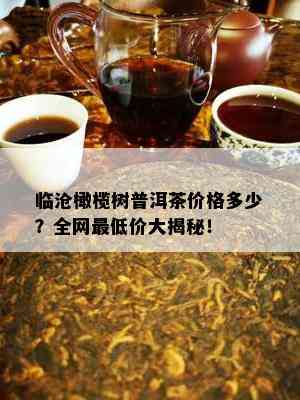 临沧橄榄树普洱茶价格多少？全网更低价大揭秘！