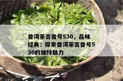 普洱茶吉普号530，品味经典：探索普洱茶吉普号530的独特魅力