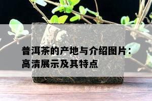 普洱茶的产地与介绍图片：高清展示及其特点