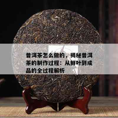 普洱茶怎么做的，揭秘普洱茶的制作过程：从鲜叶到成品的全过程解析