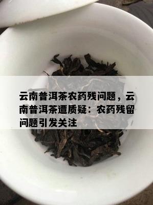 云南普洱茶农残问题，云南普洱茶遭质疑：农残留问题引发关注