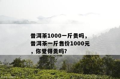 普洱茶1000一斤贵吗，普洱茶一斤售价1000元，你觉得贵吗？