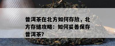 普洱茶在北方如何存放，北方存储攻略：如何妥善保存普洱茶？