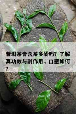 普洱茶膏含茶多酚吗？了解其功效与副作用，口感如何？