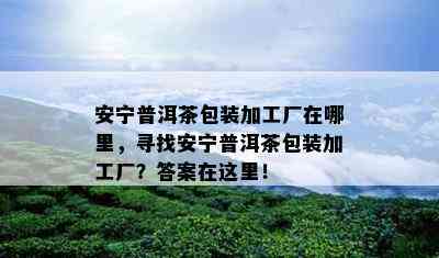 安宁普洱茶包装加工厂在哪里，寻找安宁普洱茶包装加工厂？答案在这里！