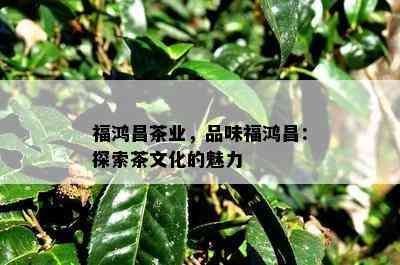 福鸿昌茶业，品味福鸿昌：探索茶文化的魅力