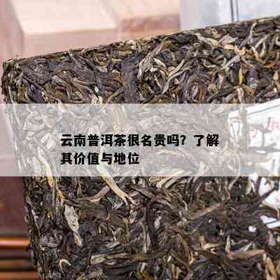 云南普洱茶很名贵吗？了解其价值与地位