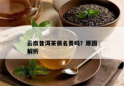 云南普洱茶很名贵吗？原因解析