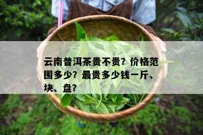 云南普洱茶贵不贵？价格范围多少？最贵多少钱一斤、块、盘？