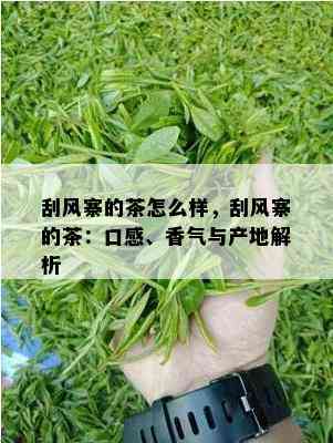 刮风寨的茶怎么样，刮风寨的茶：口感、香气与产地解析