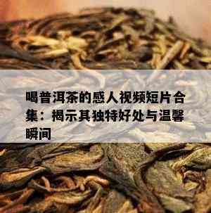 喝普洱茶的感人视频短片合集：揭示其独特好处与温馨瞬间