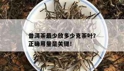 普洱茶最少放多少克茶叶？正确用量是关键！