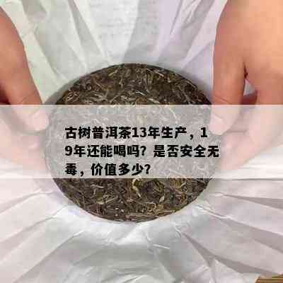 古树普洱茶13年生产，19年还能喝吗？是否安全无，价值多少？