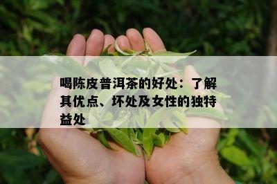 喝陈皮普洱茶的好处：了解其优点、坏处及女性的独特益处