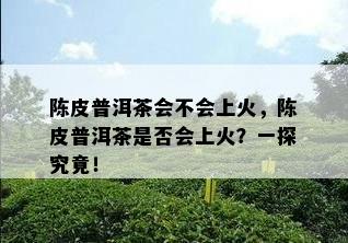 陈皮普洱茶会不会上火，陈皮普洱茶是否会上火？一探究竟！